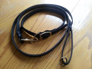 collarandleash
