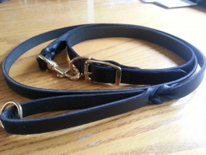 leashcollar